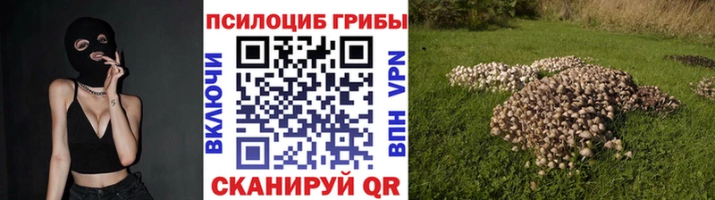 Псилоцибиновые грибы Psilocybine cubensis  Ижевск 