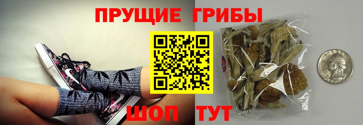 Псилоцибиновые грибы GOLDEN TEACHER Ижевск